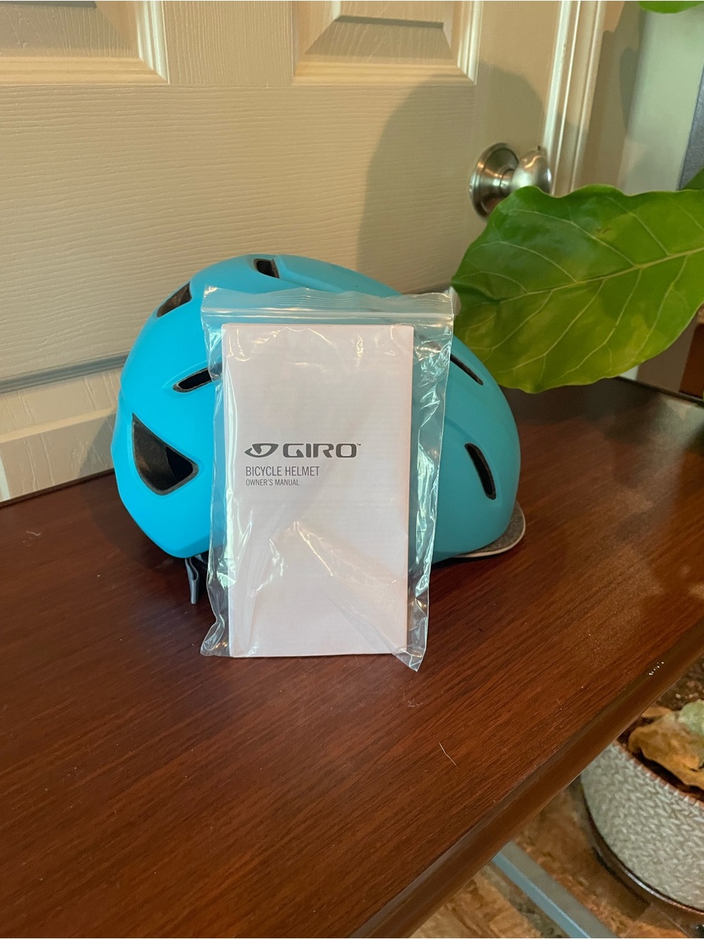 Giro Bright Teal Helmet